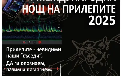 Нощ на прилепите в Европа