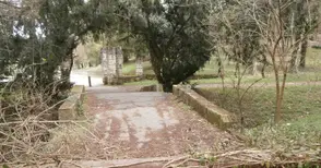 Паднали дървета препречват алеи  и стълби в лесопарка Липник