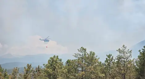 Снимка: БТА