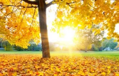 Предимно слънчево с по-ниски температури