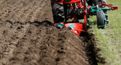 Таванът от 100 000 евро застрашава субсидиите на 40 земеделци от Русенско