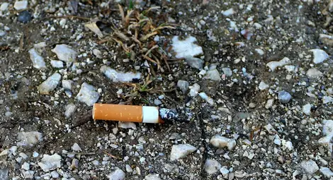 Рязък скок на глобите за замърсяване на обществени места в Русе