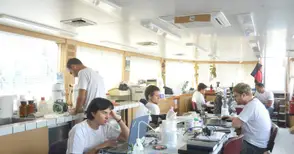 Китайски поспаланко превзема територии от рибите в Дунав