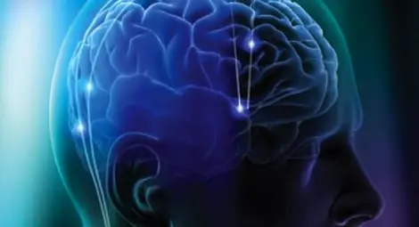 Учени откриха разликите в мозъците на интелигентните и по-ограничените хора