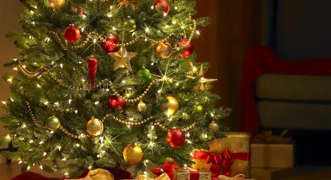 Водка и лимонада съхраняват елхата по-дълго време