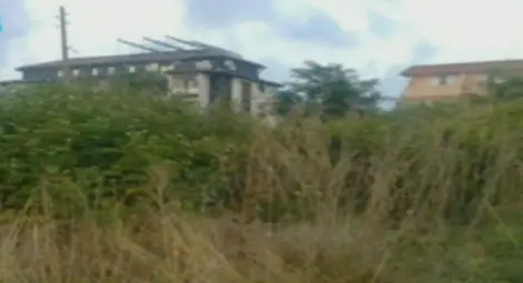 Тузарските курорти край Царево заприличаха на змиярници