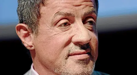 Глигани нападнаха Слай край Симитли