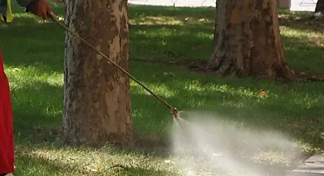 Семейна почивка е голямата награда в томболата на великденското хоро в Русе на 20 април