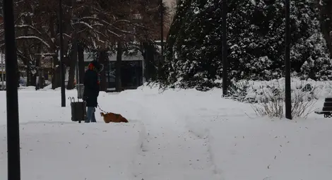 Малогабаритна техника с приоритет  разчиства тротоарите и малките улици
