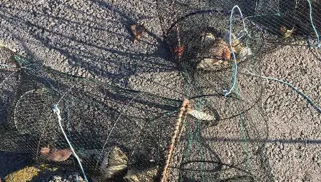 КООРС и Агенцията по рибарство излязоха на лов за бракониери в езерото Липник КООРС и Агенцията по рибарство излязоха на лов за бракониери в езерото Липник