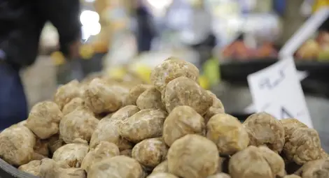 Защо трюфелите са скъп деликатес