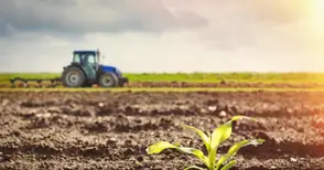 103 лева за декар достигна  рентата за държавните ниви