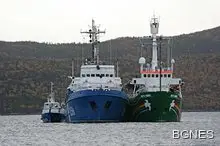 "Дейли бийст": Русия гледа към Северния полюс