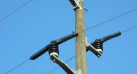 Птици причинявали честото премигване на тока в Щръклево