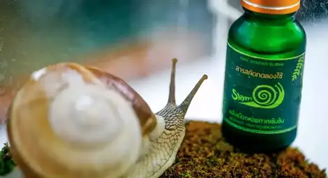 Създадоха медицинско лепило, което е революция в съвременната хирургия Създадоха медицинско лепило, което е революция в съвременната хирургия