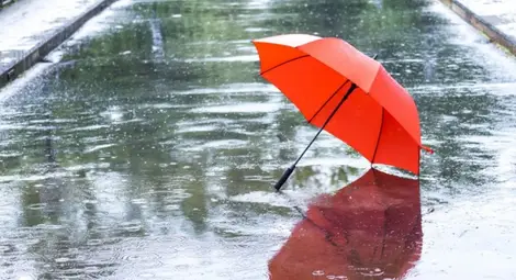 Утре ще бъде дъждовно, температурите ще са между 0 и 5 градуса Утре ще бъде дъждовно, температурите ще са между 0 и 5 градуса