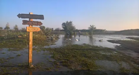Минимум 4 млн. лв. са щетите само по републиканските пътища в Бургаско Минимум 4 млн. лв. са щетите само по републиканските пътища в Бургаско
