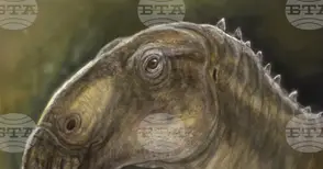 Аджерпрес: Нов вид динозавър е открит в Глобалния геопарк на ЮНЕСКО „Хацег“ в Румъния