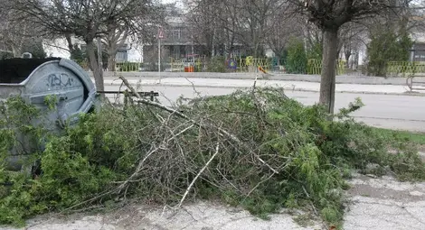 6 екипа продължават да се борят с купчините клони по улиците