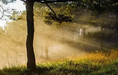 Днес ще е слънчево над по-голямата част от страната с температури до 14&deg;