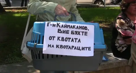 Протестиращ котарак в дело за обида заради девственост