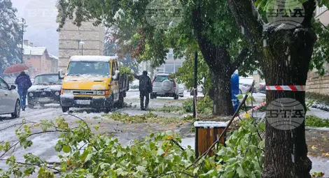 Снимка: БТА