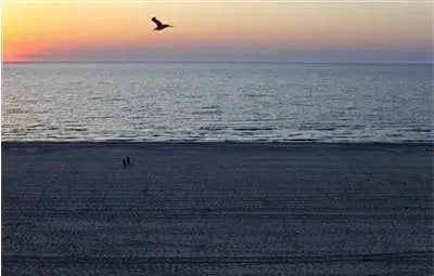 Скрита опасност дебне в Черно море Скрита опасност дебне в Черно море