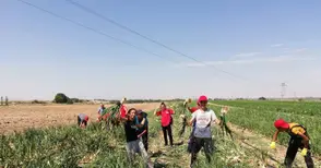 Русенски гимназисти отглеждат патладжан и берат лук в Сарагоса