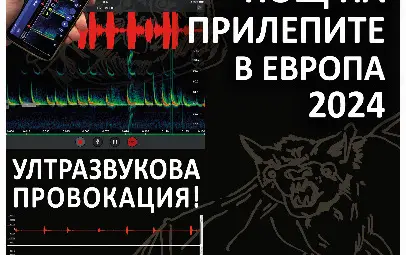 Музеят в Русе обяви програмата за XXVIII международна нощ на прилапите Музеят в Русе обяви програмата за XXVIII международна нощ на прилапите