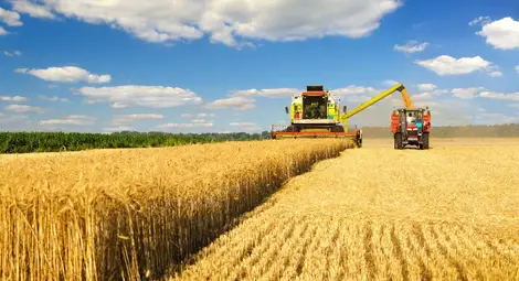 По-малко сделки за земя при  по-високи цени в община Русе
