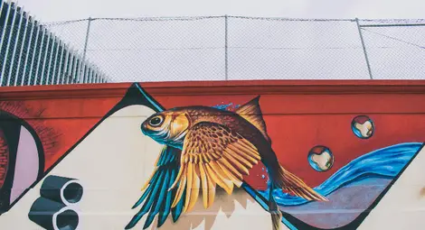 Съветник от БСП предлага да бъде изграден модерен графити комплекс в Русе Съветник от БСП предлага да бъде изграден модерен графити комплекс в Русе