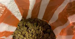 Трудов договор и сериозна връзка не извадиха от ареста задържания за дрога в Копривец