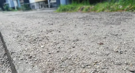 Два абсурда до един блок в &bdquo;Здравец&ldquo;