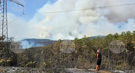 Снимка: БТА Снимка: БТА