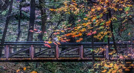 Времето днес: Слънчев и топъл есенен ден за разходки