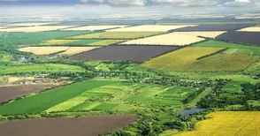 С 10% поскъпнаха нивите  около Две могили