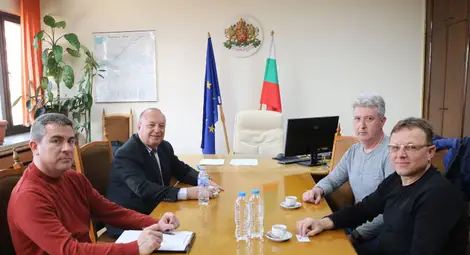 Започват проверки за опасни дървета,  които могат да доведат до аварии по електропроводите в Русенско