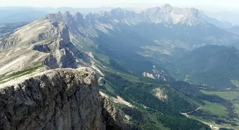 Необяснимата любов на френски граф към делфините дава име на кулинарна класика