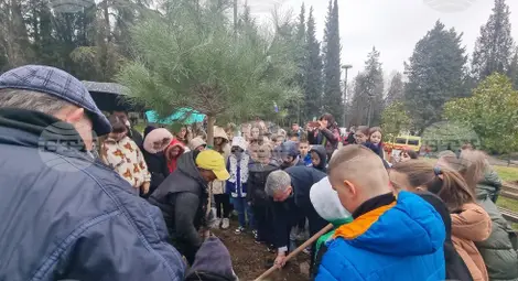 Снимка: БТА Снимка: БТА