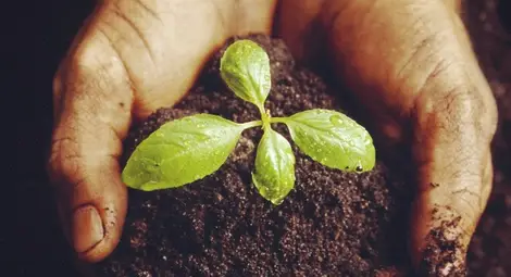 От 23 март започва прием по схемата за  застраховане на селскостопанска продукция