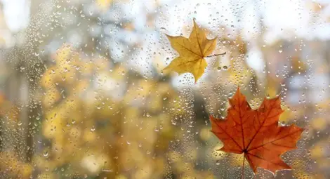 Срядата ще бъде студена и дъждовна