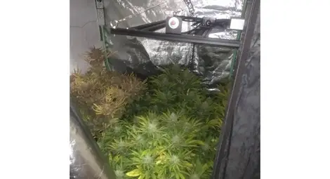 Пет мобилни нарколаборатории, открити на два адреса в Русе Пет мобилни нарколаборатории, открити на два адреса в Русе