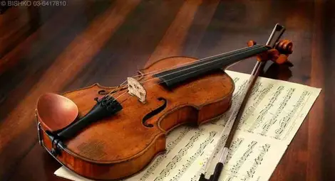 Специалист по "Страдивариус" влиза в затвора за серия измами 