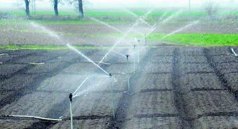 Напояват 3100 декара ниви край Русе с подземни води