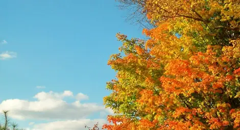 НИМХ: Максималните температури утре ще бъдат между 17&deg; и 22&deg;