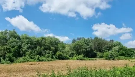 Съдия-изпълнител продава на търг пресушения язовир в Каран Върбовка