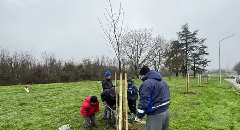 Кметът Пенчо Милков се включи в засаждането на 70 чинара по бул. &bdquo;България&ldquo;