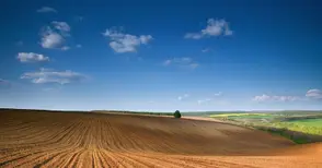 Съд вдигна твърде скромна рента от 12 на 50 лева