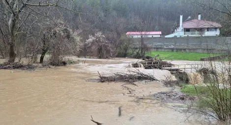 Снимка: Пресцентър Снимка: Пресцентър