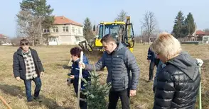 Дарени от „Булмаркет“ 70 дръвчета смърч и чинар бяха засадени в Мартен